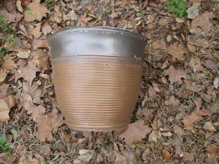 Photo of free sturdy garden pot (casselberry) #1