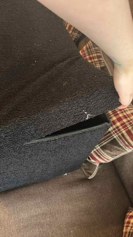 Photo of free Teddy Bear Ottoman (Littleover, Derby) #2