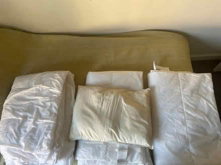 Photo of free Single Summer Duvets x 3 + pillow (Islington, N19) #1
