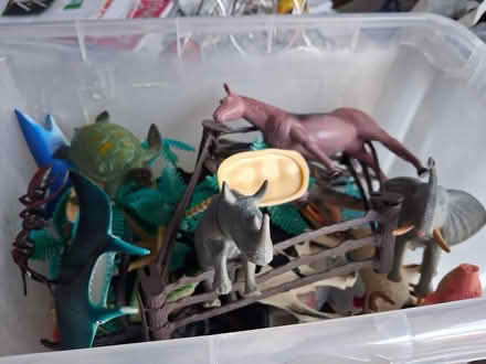 Photo of free Plastic animals/sea creatures (Styvechale, Coventry) #1