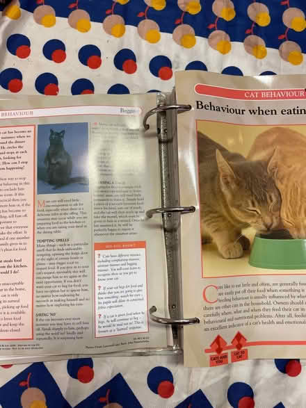 Photo of free Cats facts file x 2 (Crystal Palace SE19) #3
