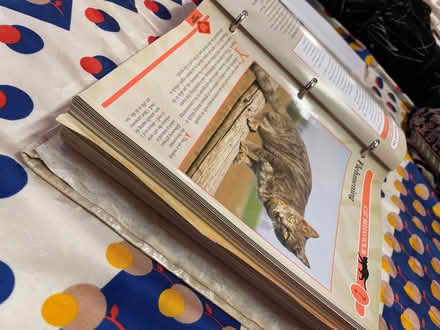 Photo of free Cats facts file x 2 (Crystal Palace SE19) #4