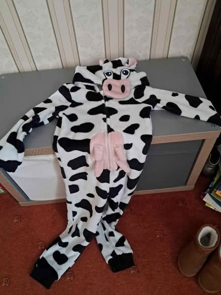 Photo of free Cow onesie (Belper DE56) #1