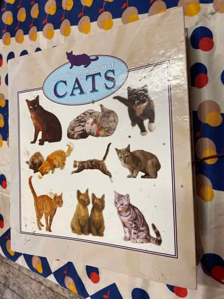 Photo of free Cats facts file x 2 (Crystal Palace SE19) #1