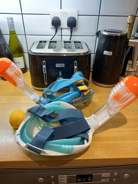 Photo of free Subea Snorkeling gear (Roundhill area brighton) #2