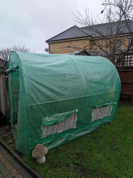 Photo of free Green house and planters (SW19 8HD) #2