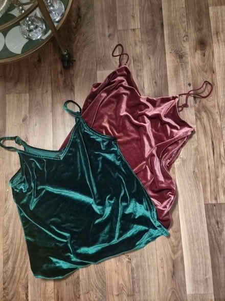 Photo of free 2x velvet tank tops (stroud green N4) #1