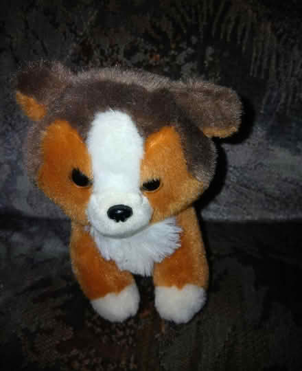 Photo of free Dog soft toy (Chattenden) #1