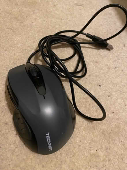 Photo of free Mouse (Bristol BS3 (Totterdown)) #1