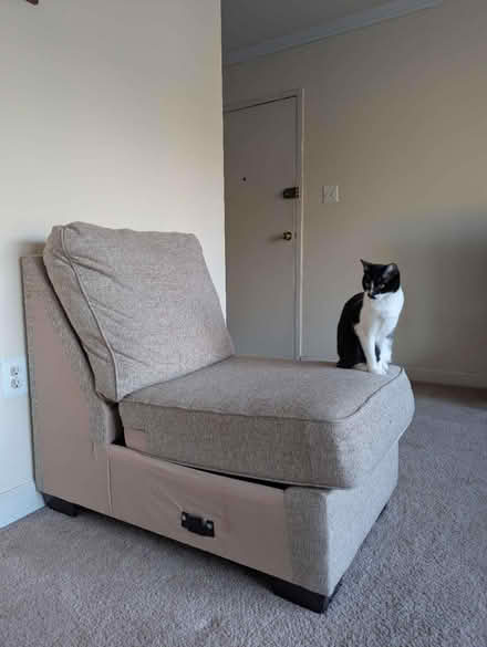 Photo of free Couch Sectional (Gallows Road / Vienna) #2