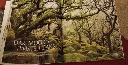 Photo of free Lovely quality magazines (Kidderminster DY11) #4