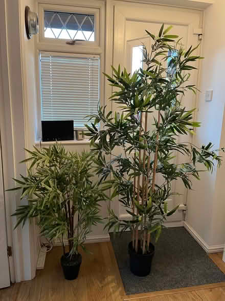 Photo of free Artificial plants (The Triangle Estate RH15) #1