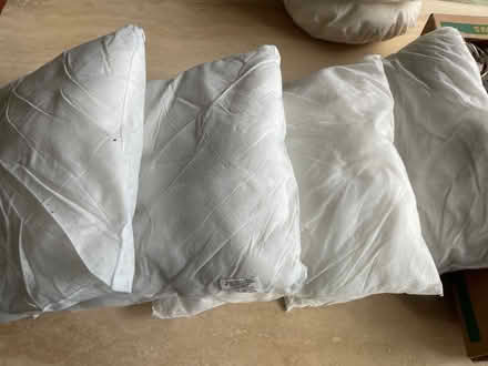 Photo of free Cushion inserts x4 (Heswall CH60) #2