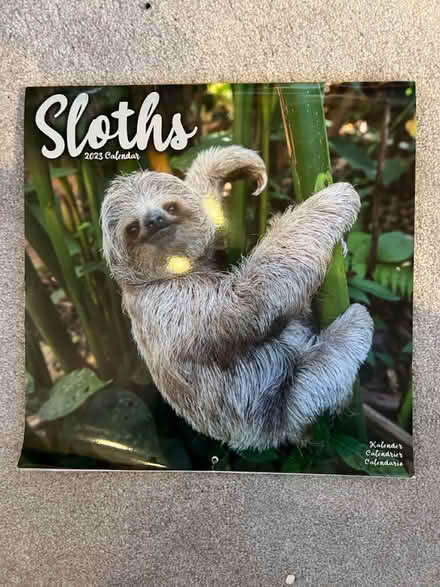 Photo of free Sloth calendar collage decoupage (East Kilbride) #1