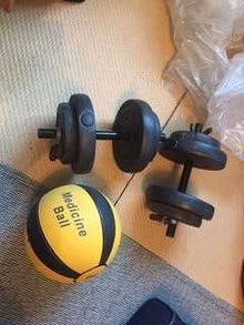 Photo of free Weights and medicine ball (Timperley WA15) #1