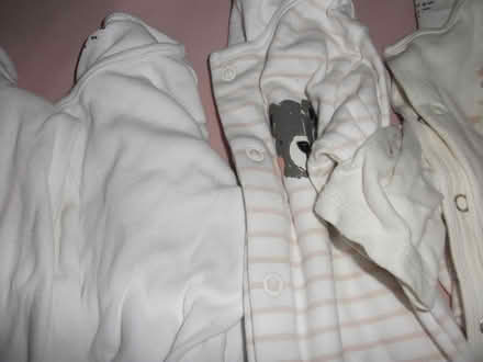 Photo of free Baby clothes 6-12 mths As New Cond (ME16 - Allington) #4
