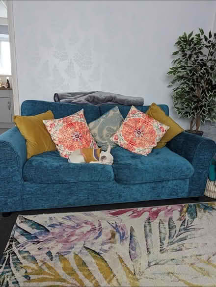 Photo of free 2 seater sofa bed (Leicester) #1