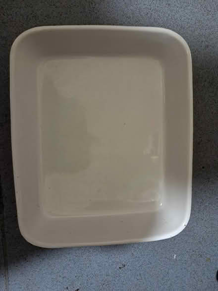 Photo of free Baking tray, medium size (Southall Green) #1