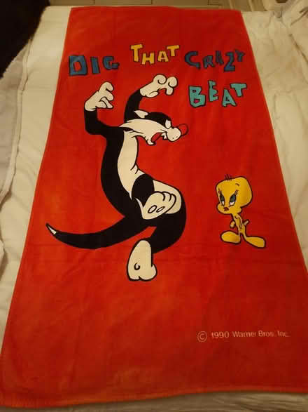 Photo of free Beach towel (Solihull B91) #1