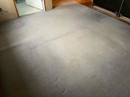Photo of free Carpet (High Newton LA11) #1