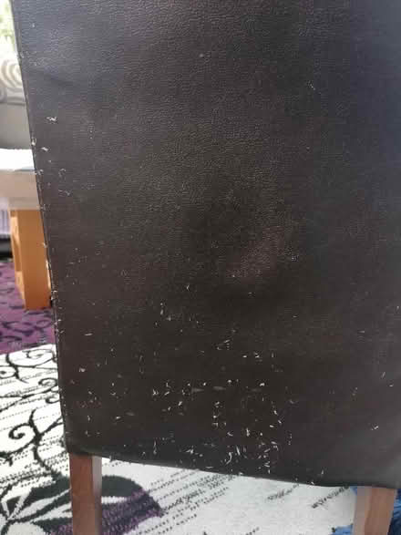 Photo of free 2 x faux leather chairs (Presteigne LD8) #4
