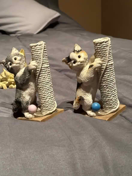 Photo of free Cute Cat Ornaments (Derby DE23) #1