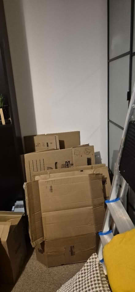 Photo of free Cardboard boxes for moving (N3 2AT) #1