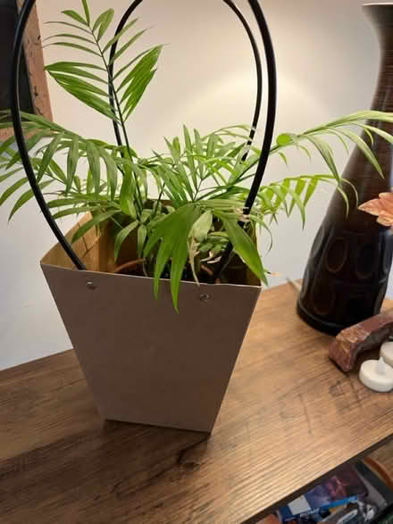 Photo of free Gift bag for a plant (Petworth/16th St Heights) #1