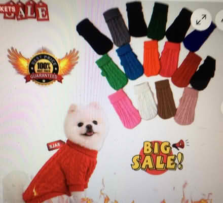 Photo of free Red Wool, Toy Dog Pull Over Jumper (Liverpool L6) #2