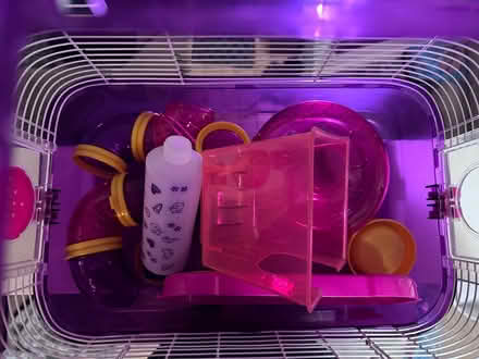 Photo of free Hamster cage (Del Prado neighborhood 94566) #1