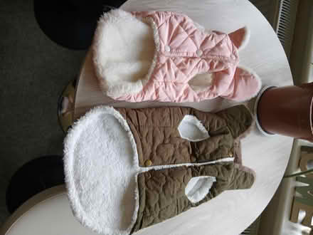 Photo of free Dog coats (linton cb21) #2