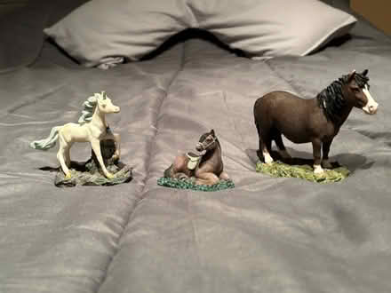 Photo of free Horse Ornaments (Derby DE23) #1