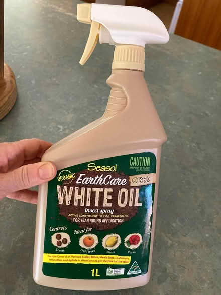 Photo of free White oil, seasol brand for scale (Mount Waverley) #1