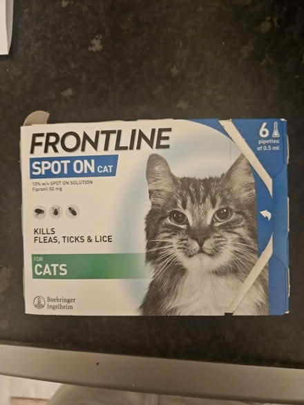 Photo of free Cat flea treatment (Broomfield Road HD1) #1
