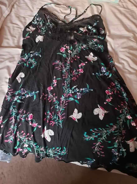 Photo of free Nightys (Solihull B91) #4