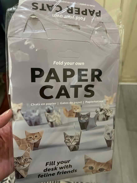 Photo of free Paper Cats origami (Crown Heights) #1