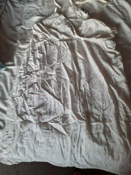 Photo of free Nightys (Solihull B91) #1