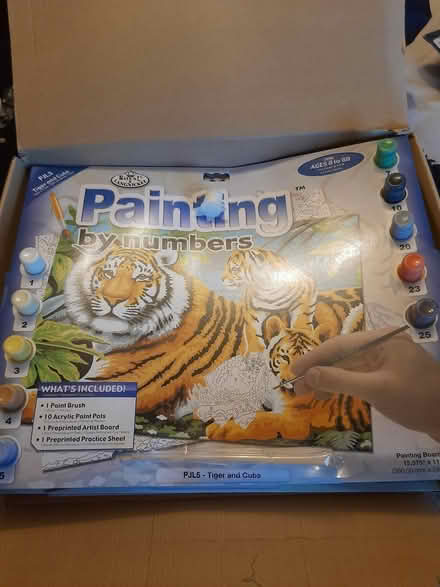Photo of free Paint by numbers (Solihull B91) #1
