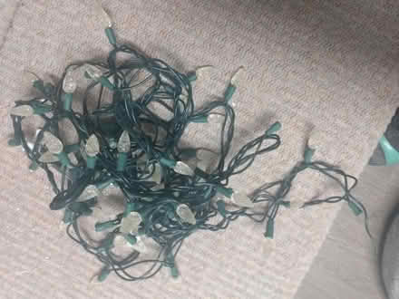 Photo of free LED Light String (Near Baseline Rd. & Clyde Ave.) #1