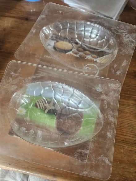 Photo of free Ice Lolly & Easter Egg Moulds (Tardebigge, B97) #3