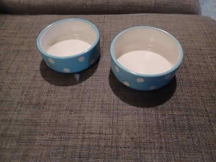 Photo of free 2 ramekins/ pet dishes (Colchester CO4 6) #1