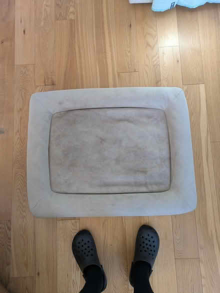 Photo of free Casper dog bed (Victoria / Venables) #3