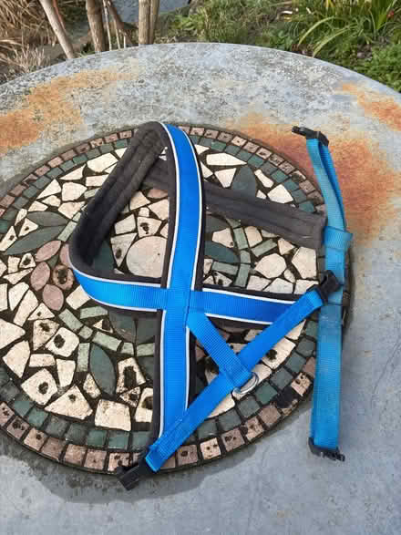 Photo of free Dog Harness medium-large (Ullesthorpe LE17) #1