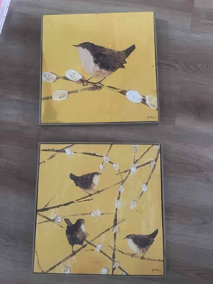 Photo of free Two yellow bird canvas prints (Garston WD25) #1