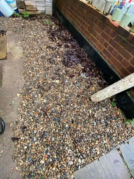 Photo of free Gravel / pea shingle (SW2 - Brixton) #3