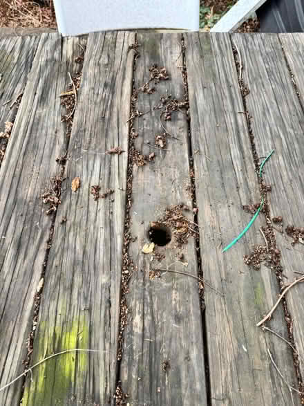 Photo of free Outdoor heavy wood table (Woodridge (20018)) #2