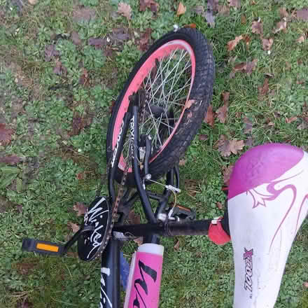 Photo of free Kids BMX (Wickford SS12) #2