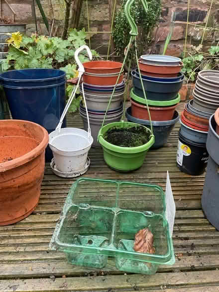 Photo of free Empty plastic plant pots (Queens Park CH3) #1