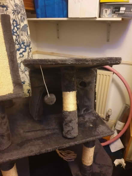 Photo of free Tall cat tree (Bevendean crescent BN2) #4