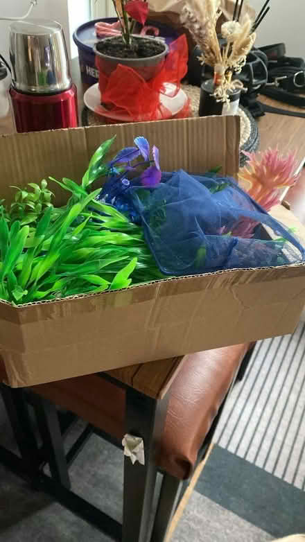 Photo of free Selection of fake plants from a medium sized tank & net (Bromham Road MK40) #1